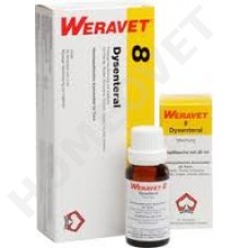 Dysenteral Ampullen und Tropfen Weravet